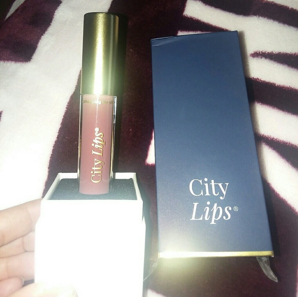 Lip city plum lip gloss. Dusty Rose